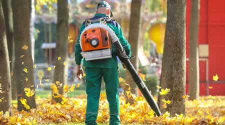 Leaf Removal and Mulching Services